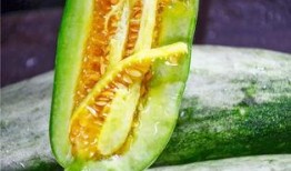 烟台吃瓜网红是谁,瓜界风云人物背后的故事